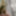 弱虫cagnettatrav gif