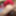 Virgin ass of an 18 year old student boy #19