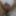 Lizzy Yum orgasm database 2023 #57