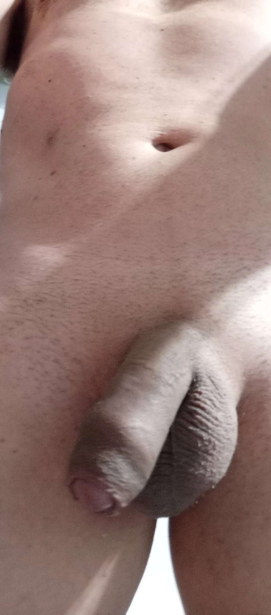 Hoje