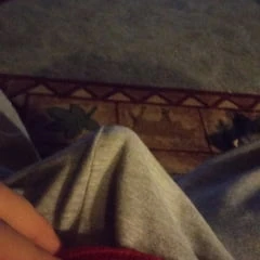 Here is my cock