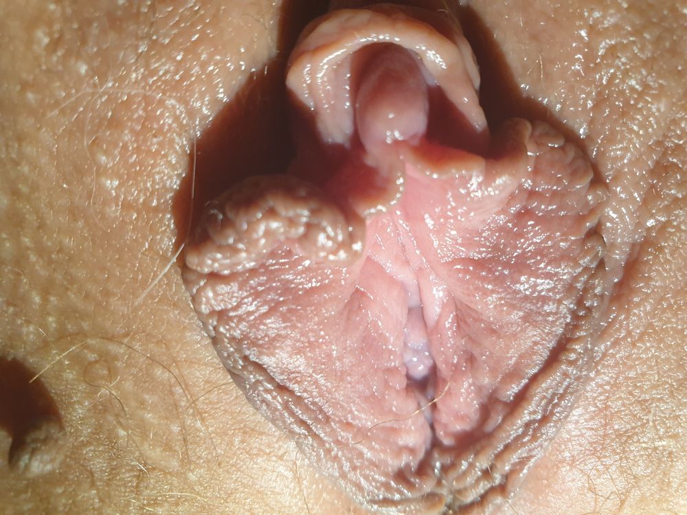 A Quick Close Up Pussy Shoot #7