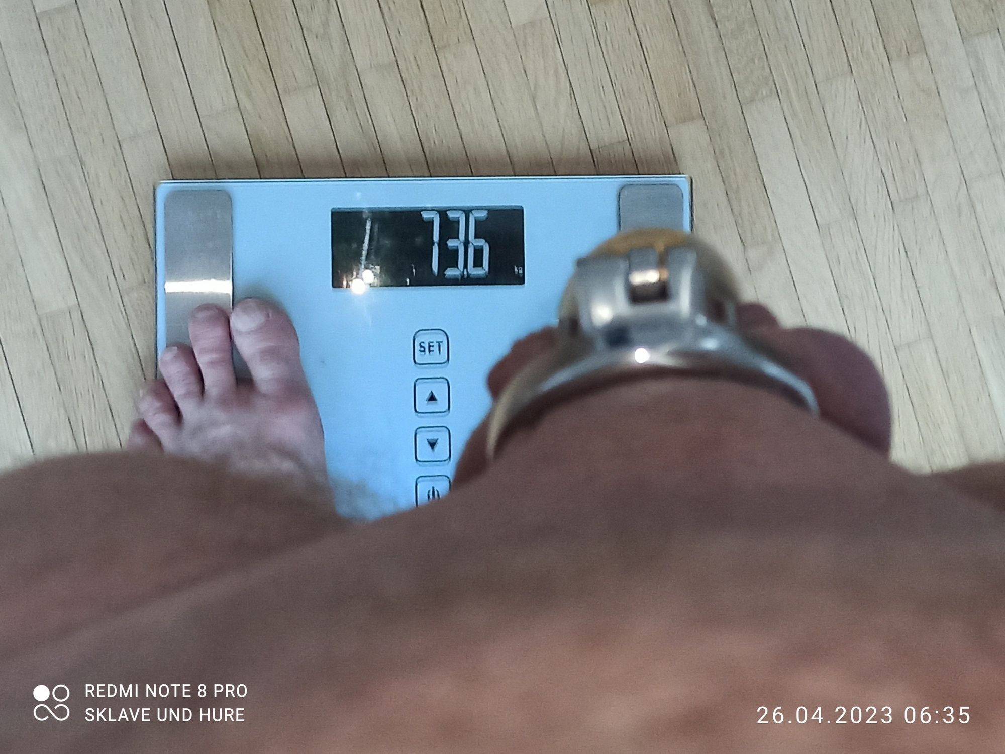 weighing cagecheck 26.04.2023 #13