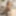 Ücretsiz Hanna Howeell Fotoğrafları