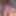 Pussy pics