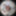lizzy yum - panoramic images #28
