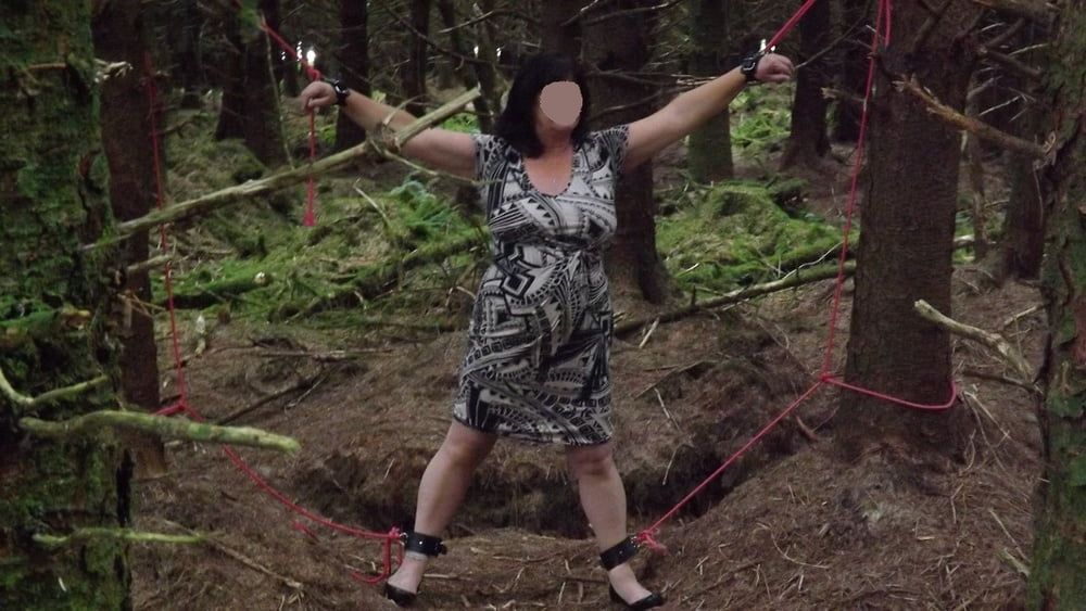 Tied up in the woods. Mrs Julie Cunningham #8