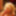 CFNM Blowjob From Beautiful MILF Babe