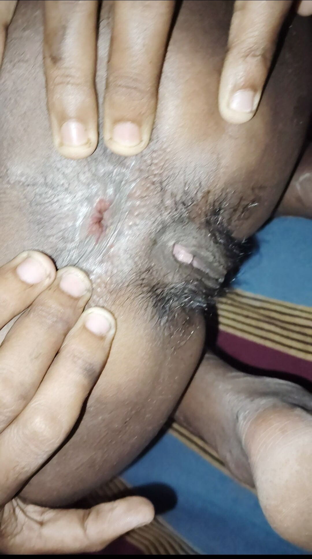 sri lankan Shaani ass