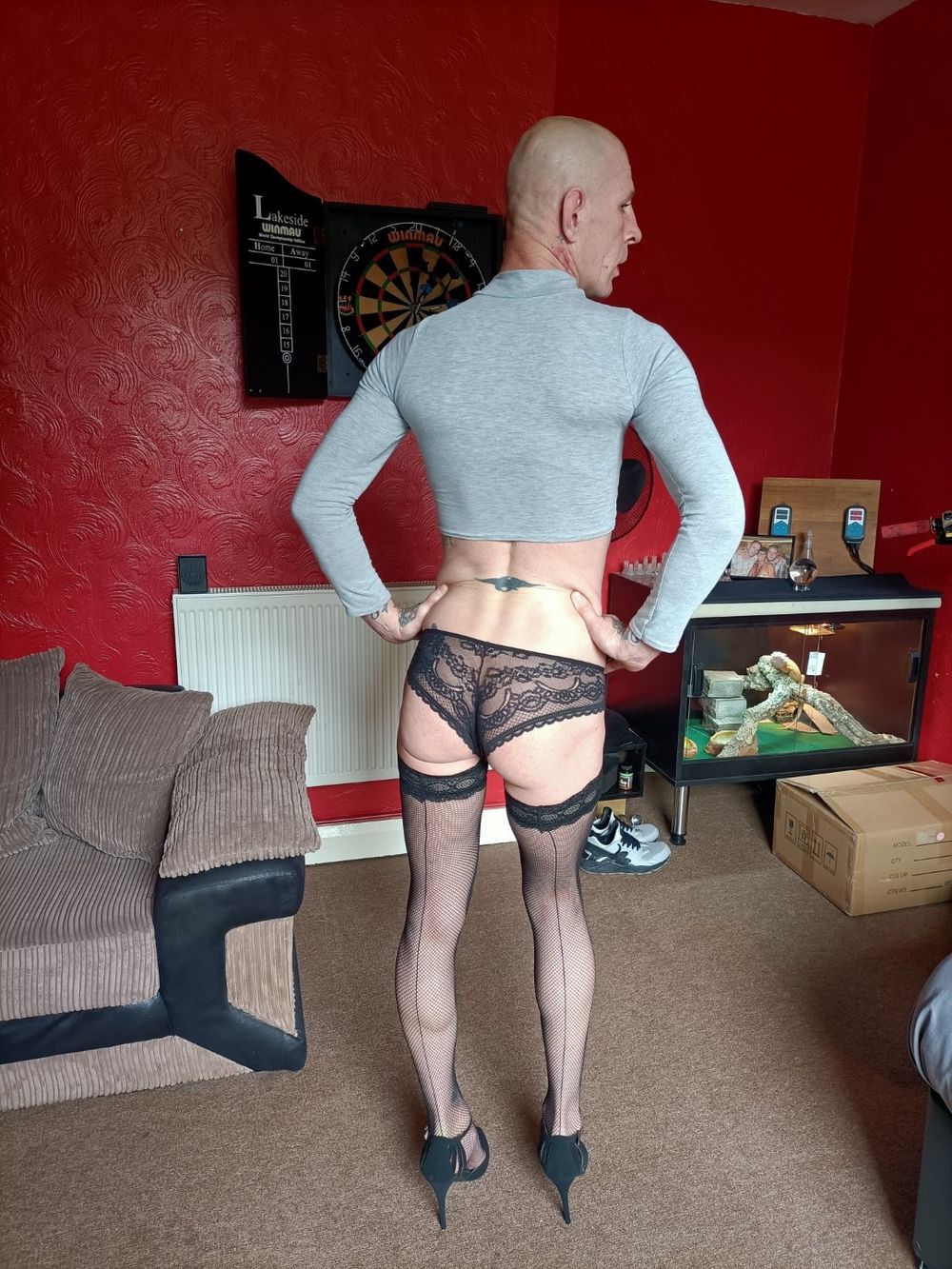 Sissyboy David Anderson #8