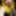 yellow goddess #18