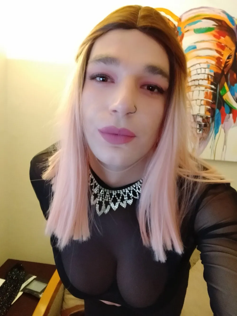 New from your tgirl #3