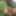 Hucow nipple transformation 4k screen shots