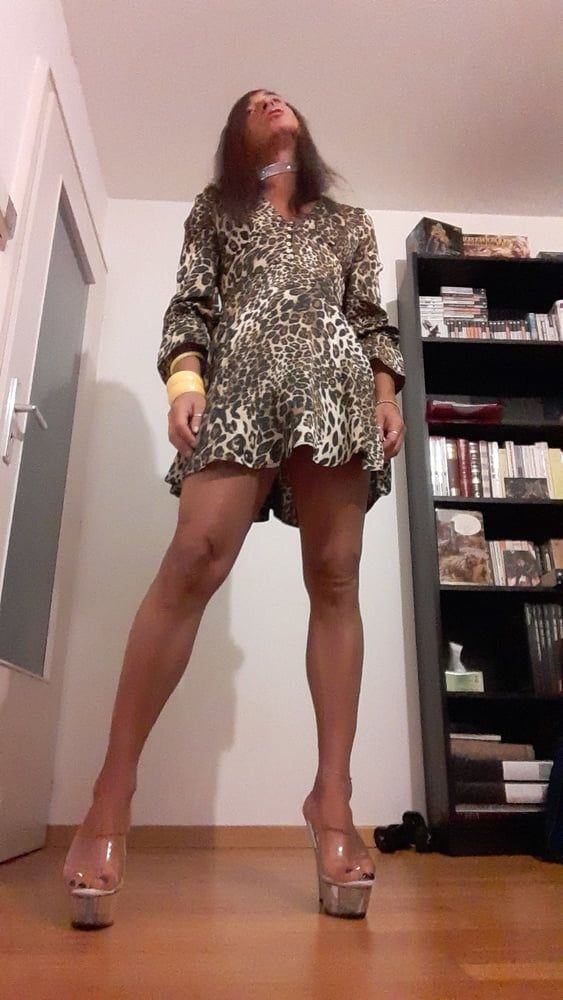 Sissy Tygra in leopard dress on 2019 octobre. #4