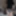 JANUARY 2024 SHOOTS