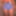 Hairy JoyTwoSex Teasing