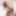 BRAZILIAN TRANSSEXUALS: New Babe Gabrielly Agnes #4