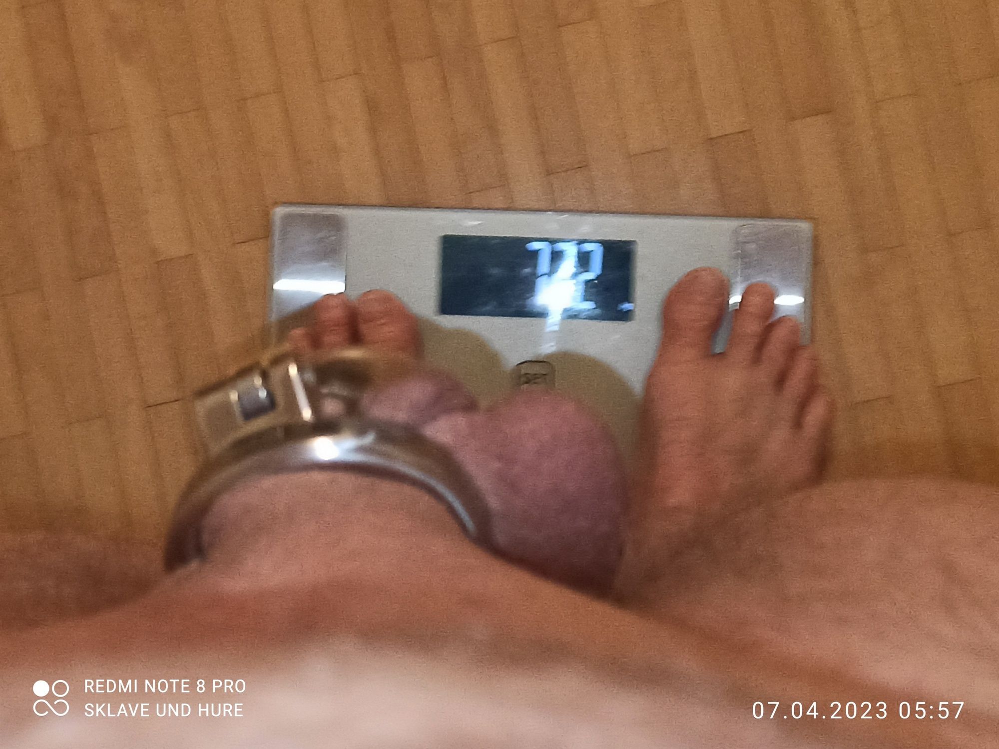 mandatory weighing and cagecheck of 7/4/23 #14