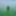 in green algae #2