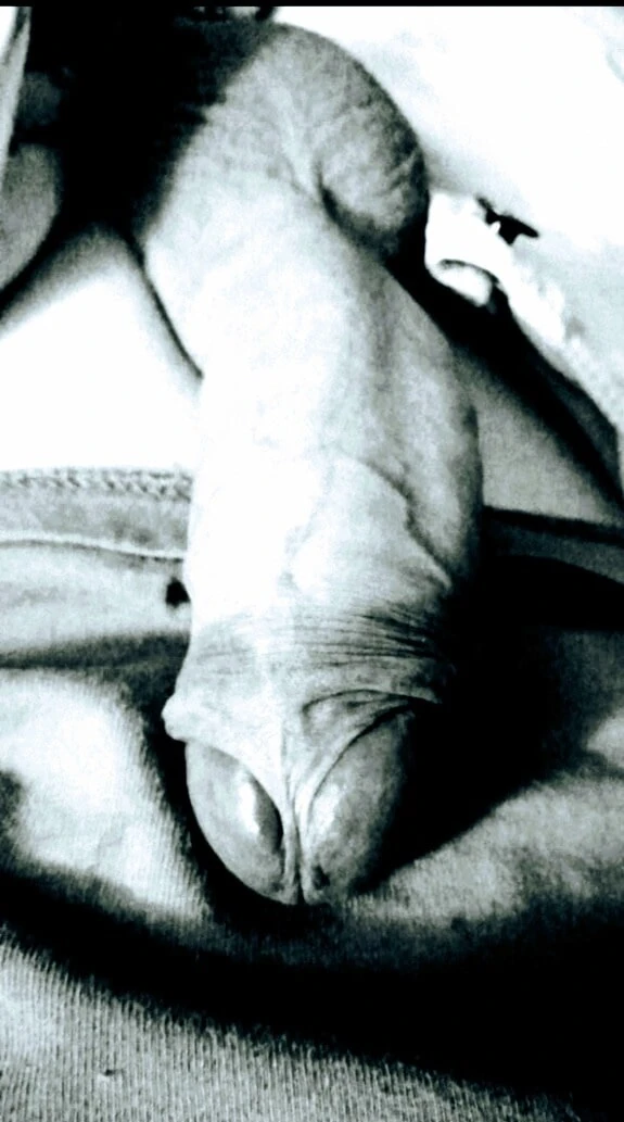 Kutas 