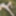 The Forest's Timekeeper #20