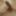 My penis #10
