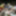 The young girl meets an elderly married couple fucking in th