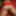 Lady in Red #6