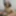 Sissfied Anal PAWG Beautiful Face of a Sissifed Bimbo Slut #19