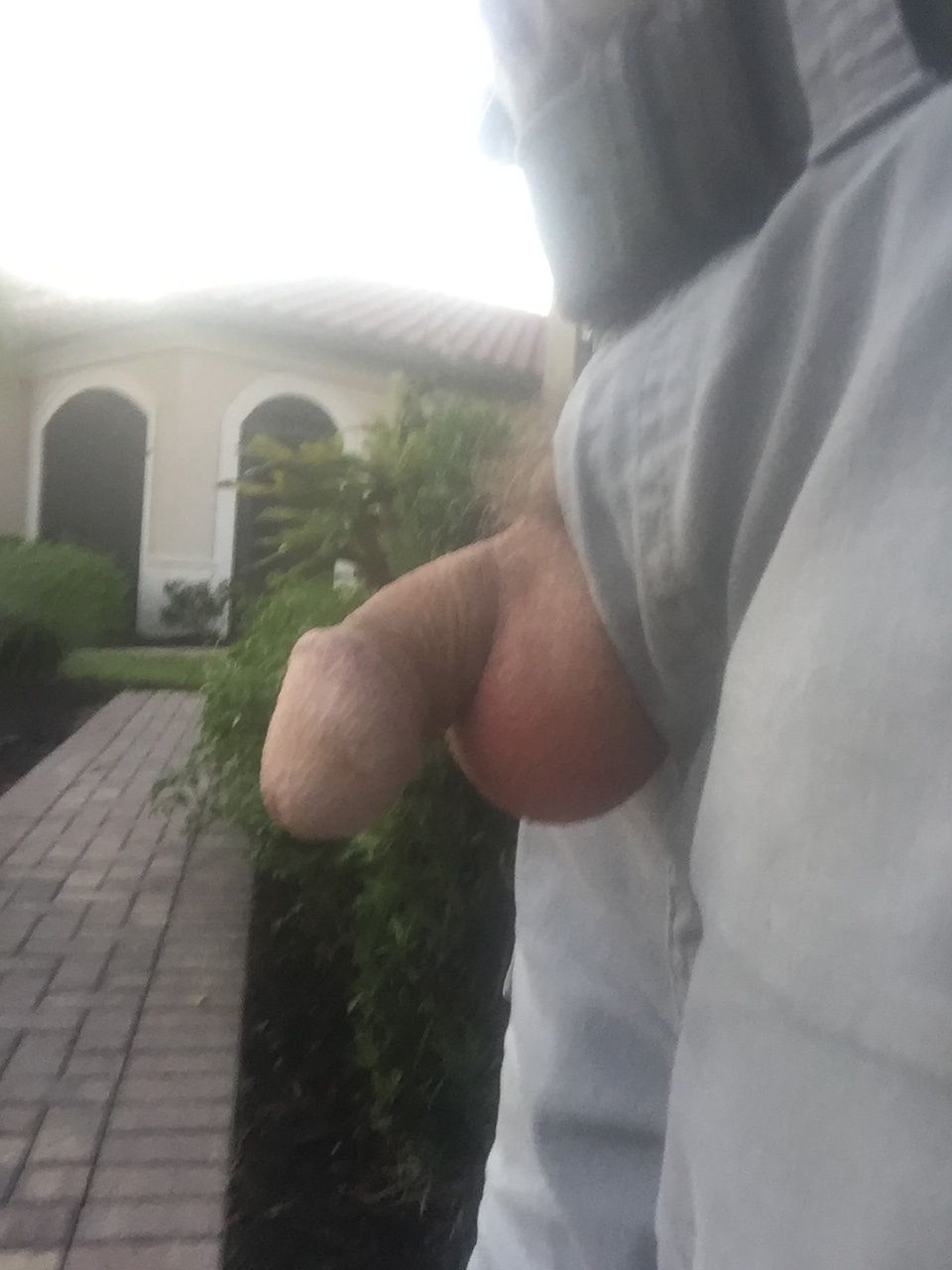 Penis flash for the neighbors