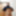 2018 dick pics