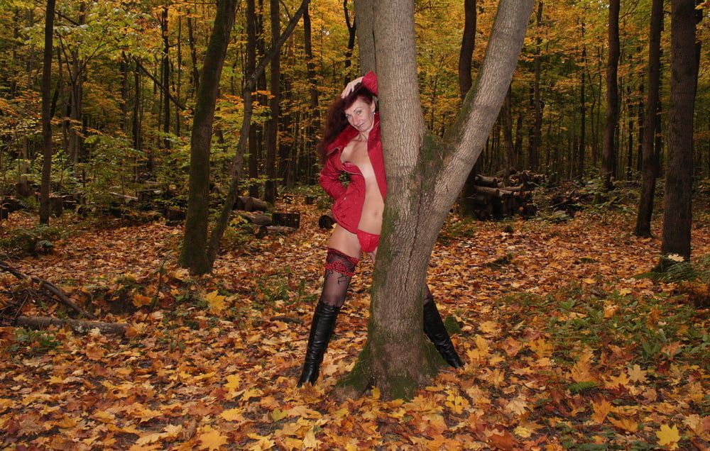 Red Autumn 5 #29