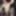 GERMAN SCOUT - BERLIN GOTH GIRL DOREEN PICKUP AND ROUGH FUCK