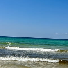  A day at the beach