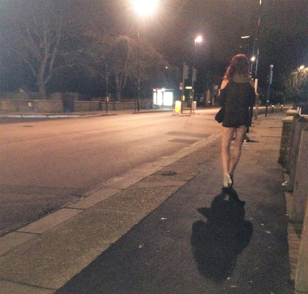 Street Walking Slut #3