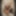 Linda asian ts champagne and big black pearl dildo 2 #7