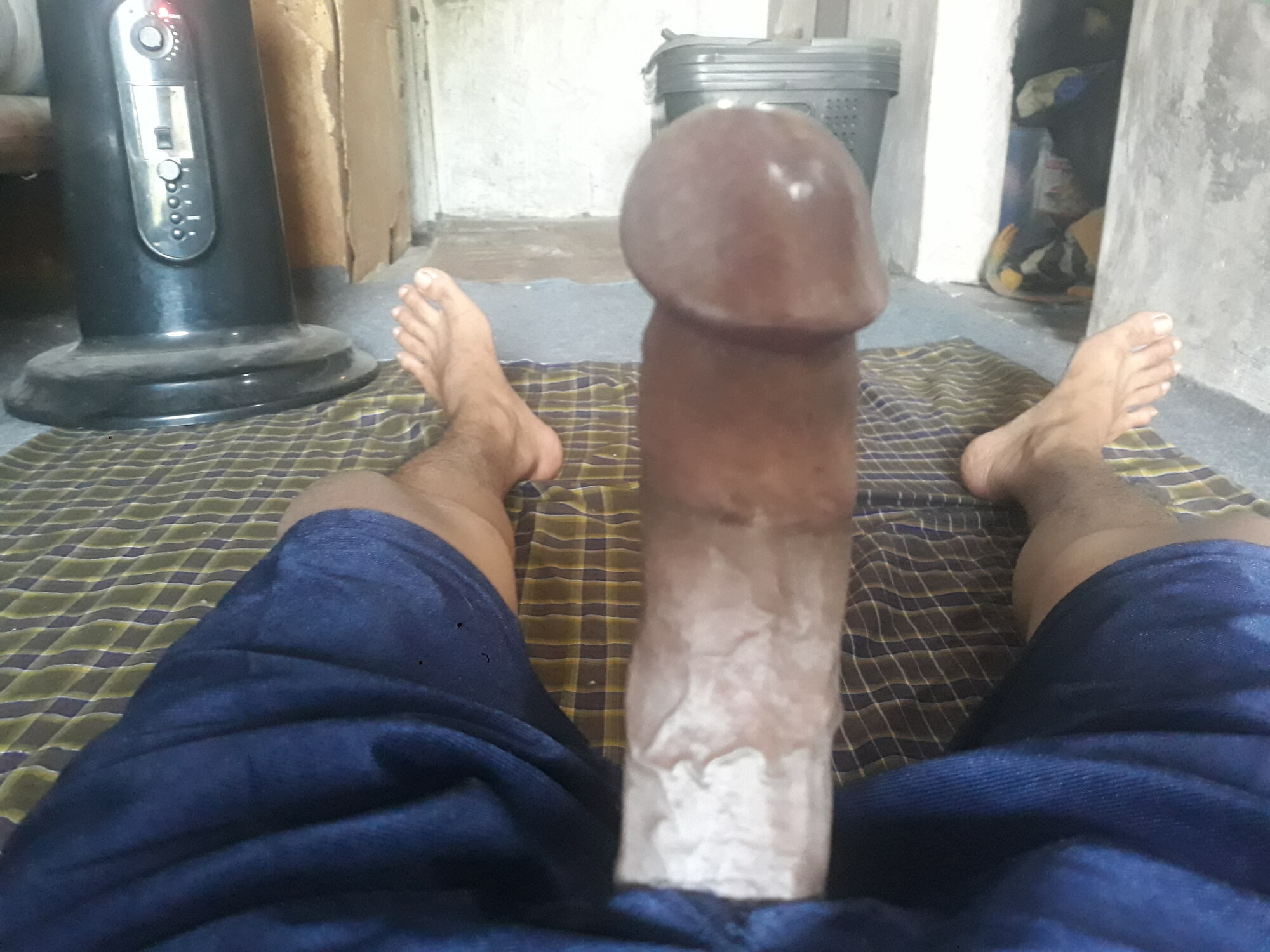Cock #7