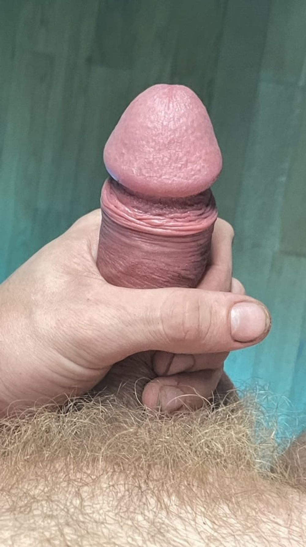 Beautiful Russian Thick Dick. Hardons. Set 5 #21