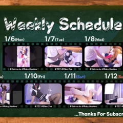 1.6 -1.12 UPLOAD SCHEDULE
