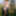 Flashing in the woods Stockings and Suspenders #32