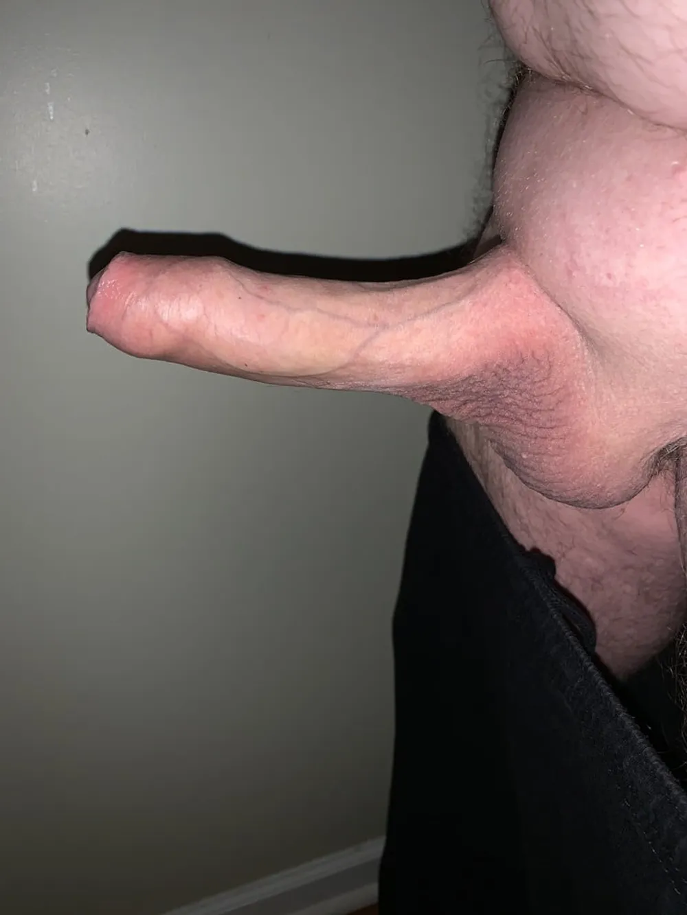 Cock #12