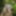 Wanking in the woods #18