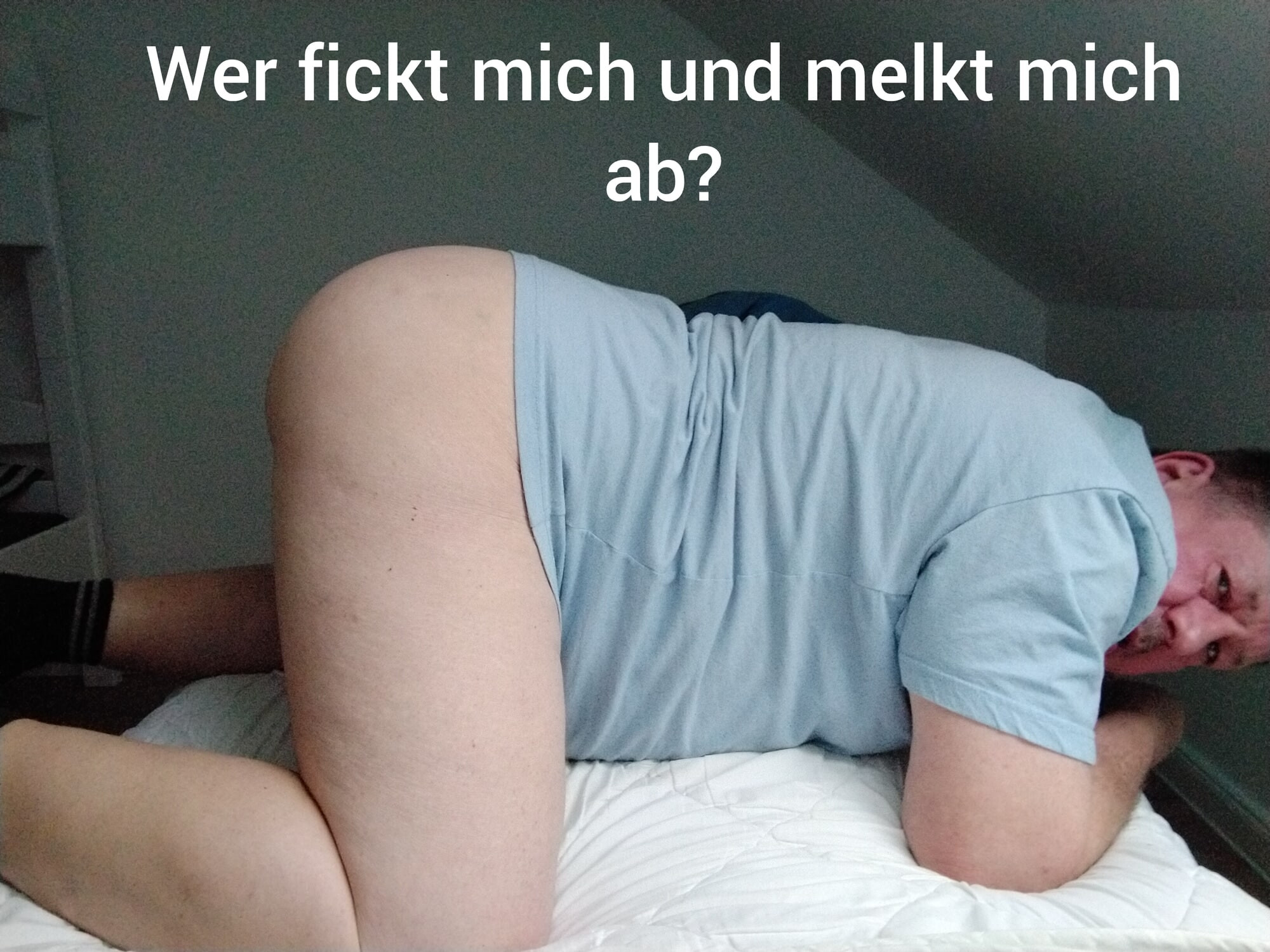 BiSau braucht eure Schwaenze #2