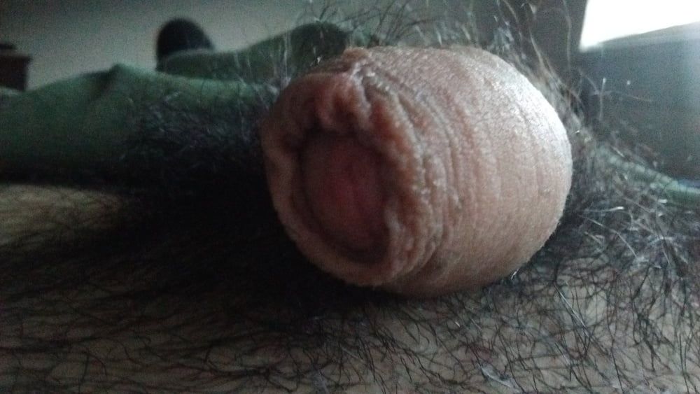 New pics my cock, ass #8