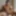 Chris Candy - Gallery 1 #4