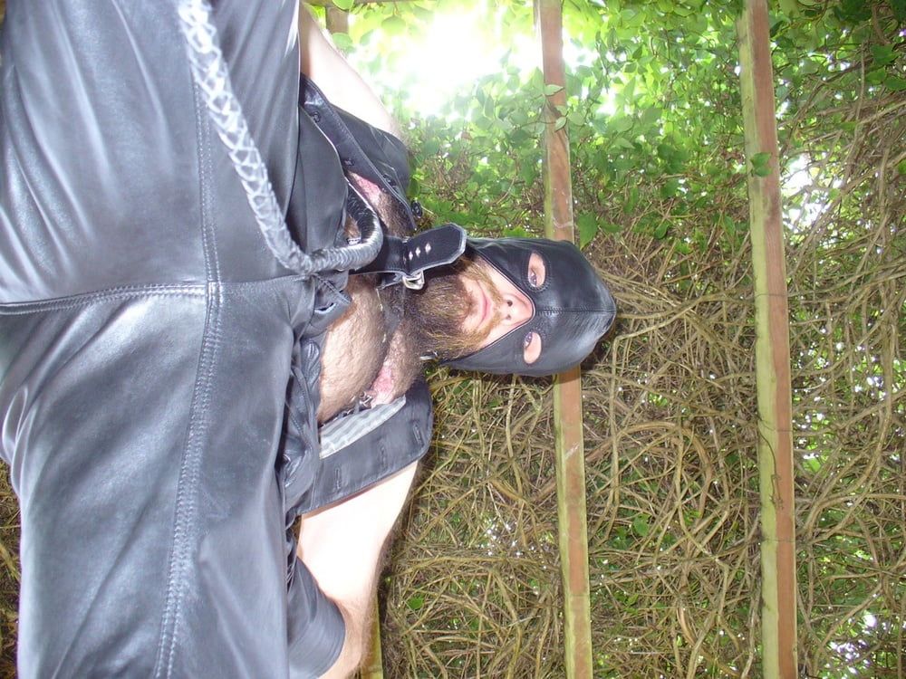 Leather Master outdoors in harness with whip #37