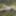 Resting on moss – nature in harmony #5