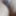 Bhabhi ki Chut Yourindiancouple84 raju 82