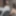 Ücretsiz Wilone Fotoğrafları
