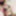 Alisa Rogs Free Photos